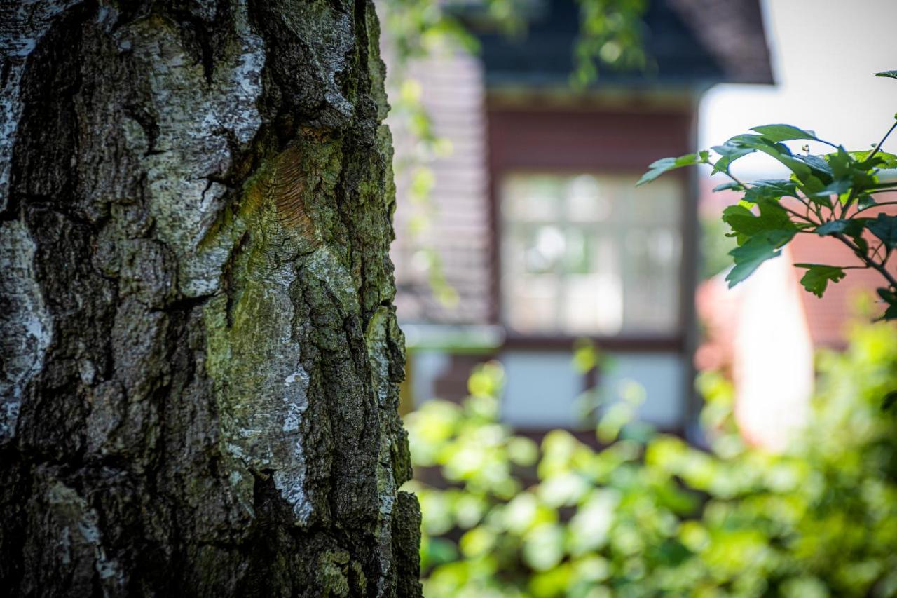 Blumeins - Das Refugium Groß-Umstadt Dış mekan fotoğraf